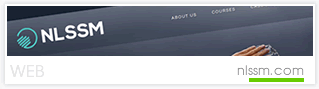 NLSSM Website
